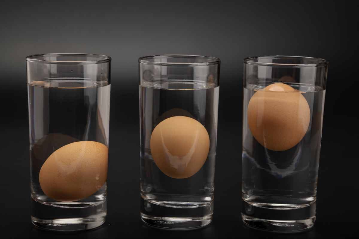 come si capisce se un uovo è fresco